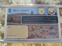 IMG_0182_20120429161907.jpg