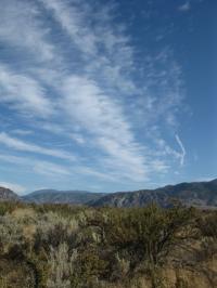IMG_0196_20120429162131.jpg