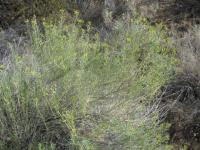 IMG_0207_20120429162129.jpg