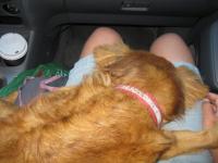 IMG_0312_20120430075734.jpg