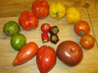 IMG_0315_20120501153833.jpg