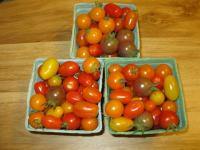 IMG_0322_20120501153831.jpg