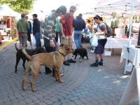 IMG_0458_20120428181058.jpg