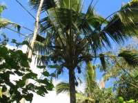 IMG_0583_201401310842074b8.jpg