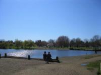 IMG_1311_20120416132336.jpg