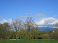IMG_1328_20120416132332.jpg
