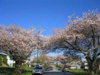IMG_1337_20120416132516.jpg