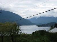 IMG_1426.jpg
