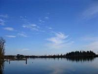 IMG_3689.jpg