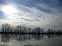 IMG_3690.jpg