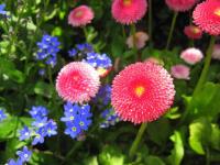 IMG_3819.jpg