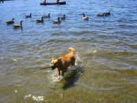 IMG_3869_20130510154112.jpg