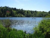 IMG_3875.jpg