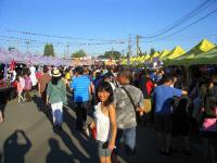 IMG_4037.jpg