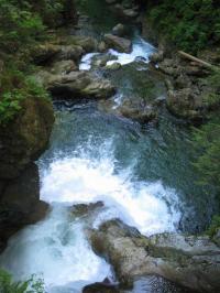 IMG_4140.jpg