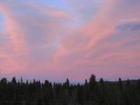 IMG_4146.jpg