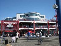 IMG_4237.jpg