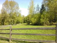 WP_001820.jpg