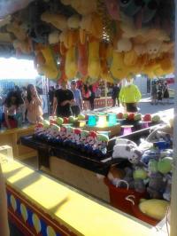 WP_002157.jpg