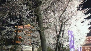 P1000517.jpg