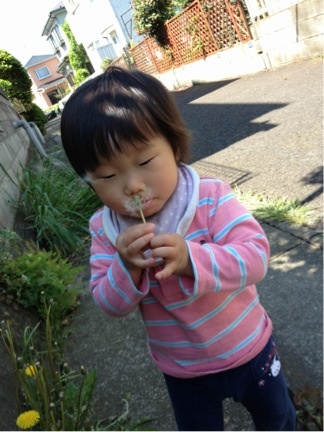 image_20130428112915.jpg