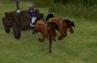 mabinogi_2011_09_29_008.jpg