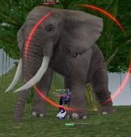 mabinogi_2011_09_30_021.jpg