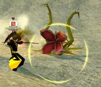 mabinogi_2011_10_06_021.jpg