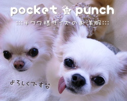 pocket★punchへ