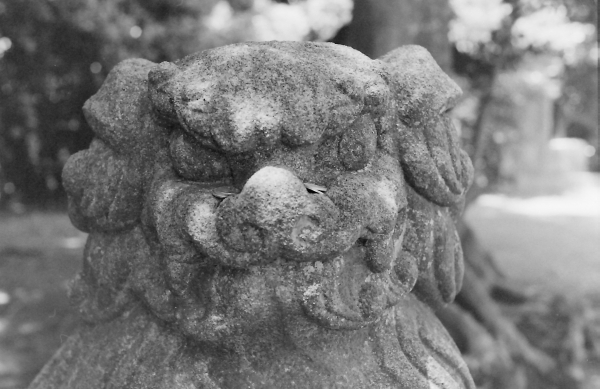 熊野神社(さいたま市見沼区片柳)4