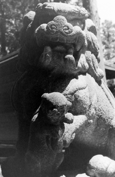 熊野神社(さいたま市見沼区片柳)2