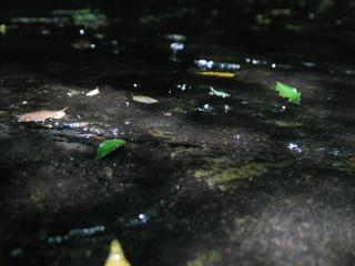 IMG_1324_convert_20110813004908.jpg