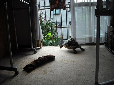 v-DSCF0263.jpg