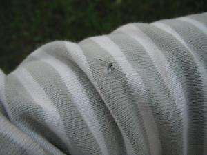 2011_10140002_convert_20111018140209.jpg