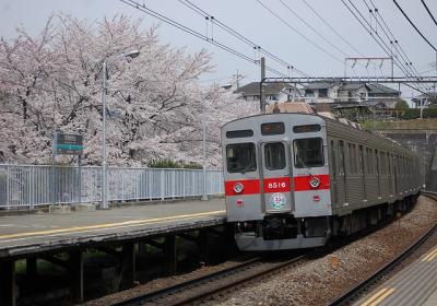桜×8616F(新玉川線開業35周年HM)