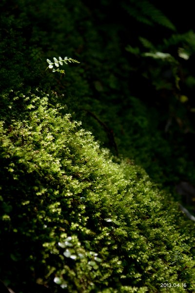 DSC_2576-T.jpg