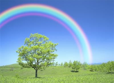 rainbow-3-256brex.jpg