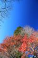 IMG_0154-1.jpg