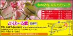 2013年3月号のアンドナウ広告