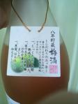 2013030908590000.jpg