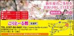 2013年4月号のアンドナウ広告