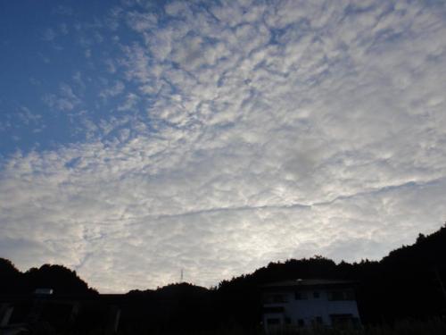 015_convert_20110930164217.jpg