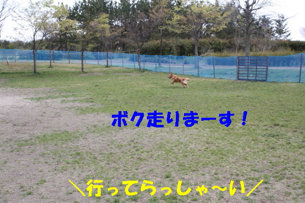 bu-100670001.jpg