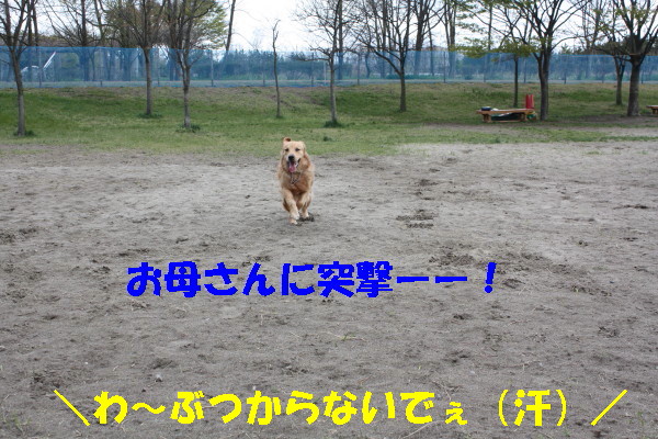 bu-100680001.jpg