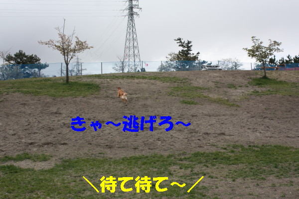 bu-100690001.jpg