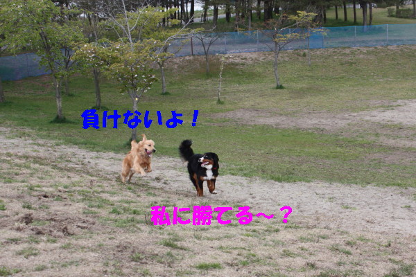 bu-100750001.jpg