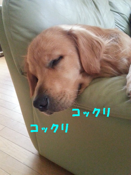 bu-101270001.jpg