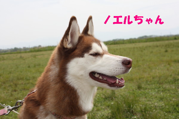 bu-101770001.jpg