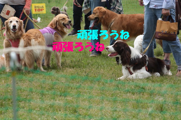 bu-101830001.jpg