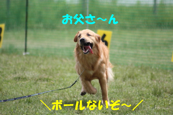 bu-101880001.jpg